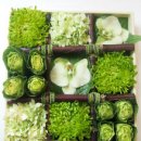 엘플라워 이미지