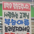 씨유평택동문3단지점 | 약 1년 간 씨유 아르바이트 한 후기... 앞으로의 계획