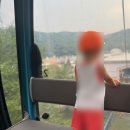 인휴먼라이프 | 아기랑 에버랜드 반딧불이 축제 후기, 야간권으로 다녀온 방법
