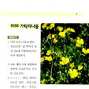 중성동113 이미지