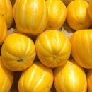 현이네농장 이미지