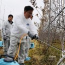 KCC페인트 동해 이미지