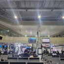 제주항식당 | 여행, 내 차 타고 제주도 가기! 완도항 → 제주항 차량 선적 실제 후기(제주도 배편 정보, 한일고속)