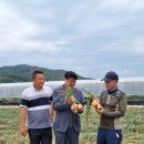 다마내기 이미지