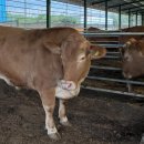 미혜농장 이미지