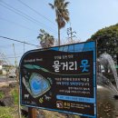 제주 서쪽 한림읍 물거리못 벚꽃