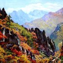 정승길 카카오 검색결과