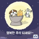 냠냠펫푸드 네이버블로그