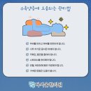 다시올한의원 네이버블로그