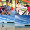에코라인어드벤처 네이버블로그
