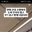 네오라이팅 이미지