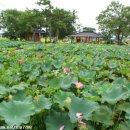 영암공원 이미지