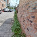 인화동-14 이미지