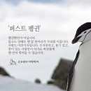 퍼스트펭귄