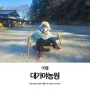 늘봄딸기농원 | 대구 근교 얼음썰매 고령 대가야농원 얼음썰매장 아이와 가볼 만한 곳