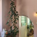 이상한 나라의 밀가루 공장 이미지