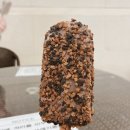 메이힐스남여사우나찜질방 | [정선여행] 정선숙소추천⭐️ 반려견동반가능숙소 ‘메이힐스리조트’