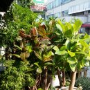 우리꽃집 이미지