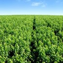 당산오돌 방이점 이미지