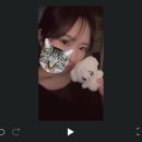 미엔빠오 이미지
