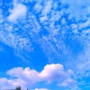 청명세탁 이미지