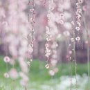 하늘빛바람