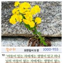 성구 네이버블로그