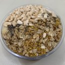 이룸보청기 | 8-1 수요일만 기다리는 나