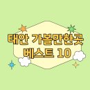 만리포허브파크 이미지