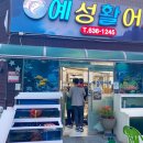 예성활어회 이미지