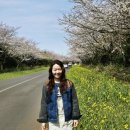 제주 보고정 투어 이미지