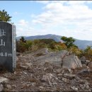 장산 이미지