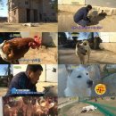 신영섭농장 TV리포트
