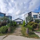 제주도 서귀포 숙소 산방산 뷰 제주542펜션, 제주호랭이 사계점&amp;인정궁물떡볶이