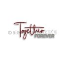 C0037 | [수업후기]심플카드 수업