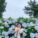 안성리-6 이미지