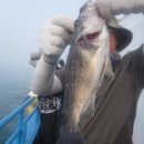 하나유선(하나호) 이미지