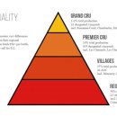 황금의 언덕 부르고뉴 와인 이미지