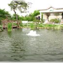 언덕위에하얀집 이미지