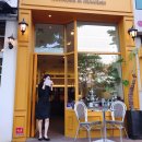 트로피크 이미지