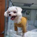 온고을로 이미지