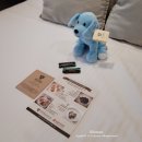 분당 판교 더리움 산후조리원 그랜드 스위트룸 2주 후기 (feat.내돈내산)
