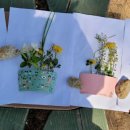 해나라어린이집 이미지