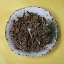 코스비한의원 이미지