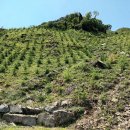 거창군 산림조합 이미지