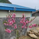 고구마부동산공인중개사사무소 이미지