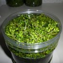 산초식당 이미지