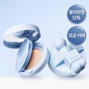 스킨에어리 이미지