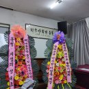 대동9호 Daum카페