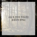 푸른정형외과의원 | 수성구정형외과에서 만난 희망, 지긋지긋한 하지정맥류 졸업 후기